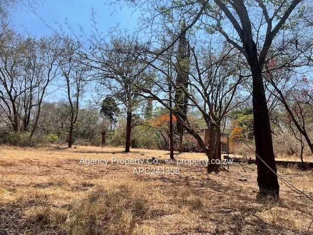 Ripe For Development