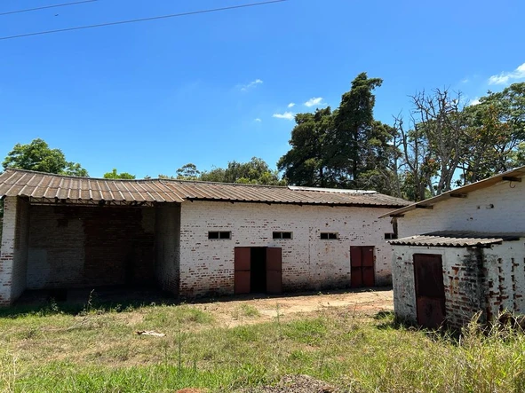 Farm & Agricultural Land