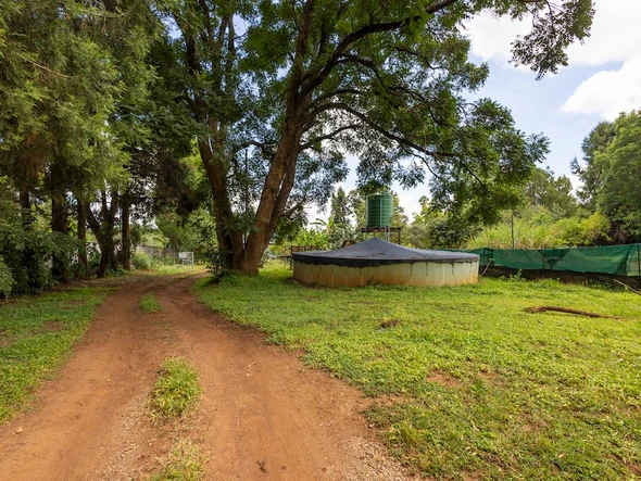 Commercial Property