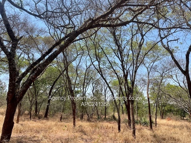 Ripe For Development