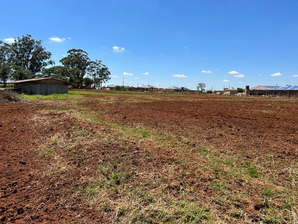 Farm & Agricultural Land