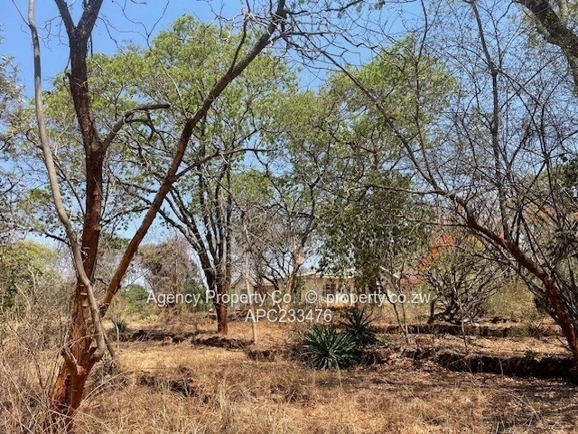 New On The Market - Ideal Investment - 