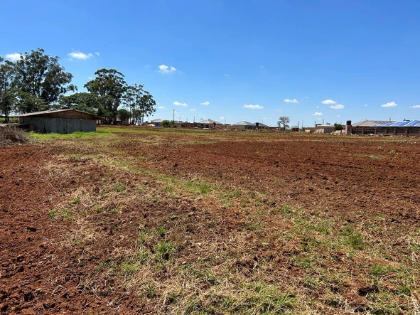 Farm & Agricultural Land