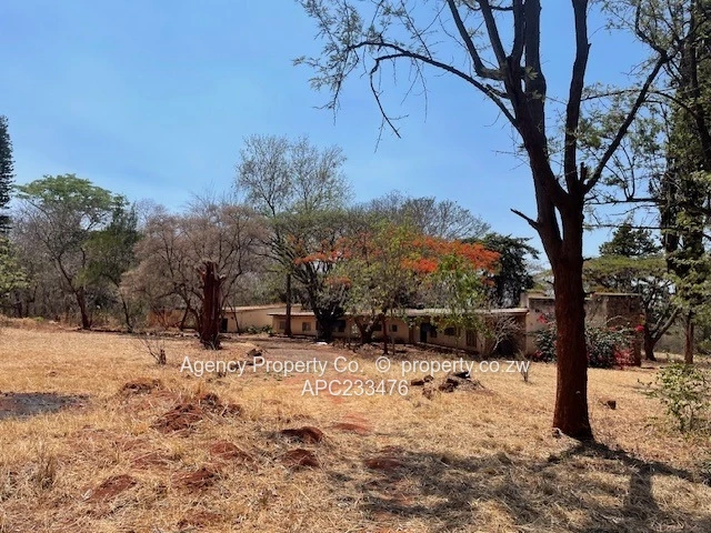 New On The Market - Ideal Investment - 