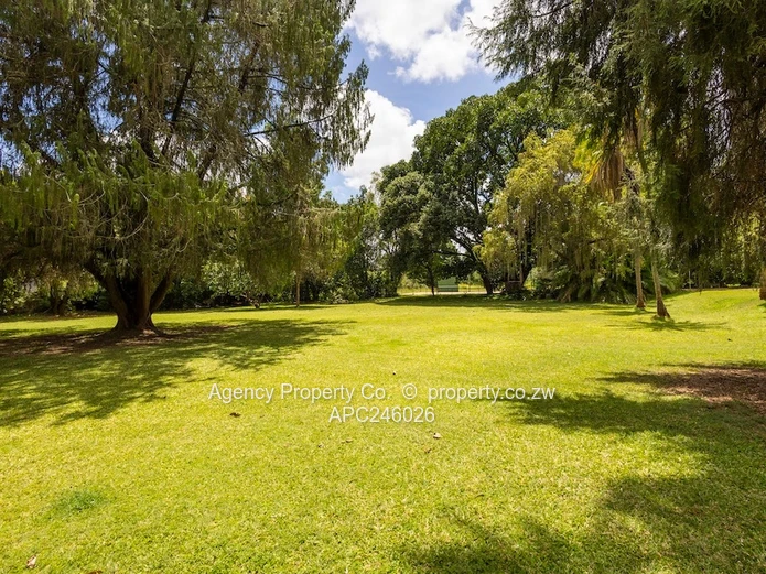 CHISIPITE - 28 206 s m (6.97 acres) (Sole Mandate)
