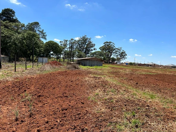 Farm & Agricultural Land